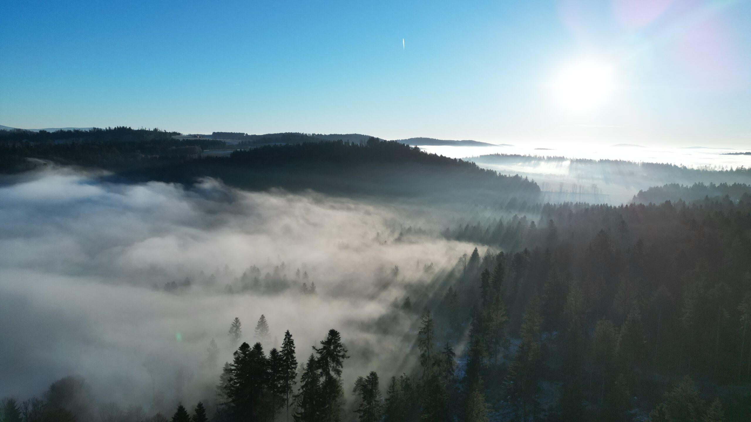 STAINDLHOF 1680 / Natur © Sylvi Thierbach